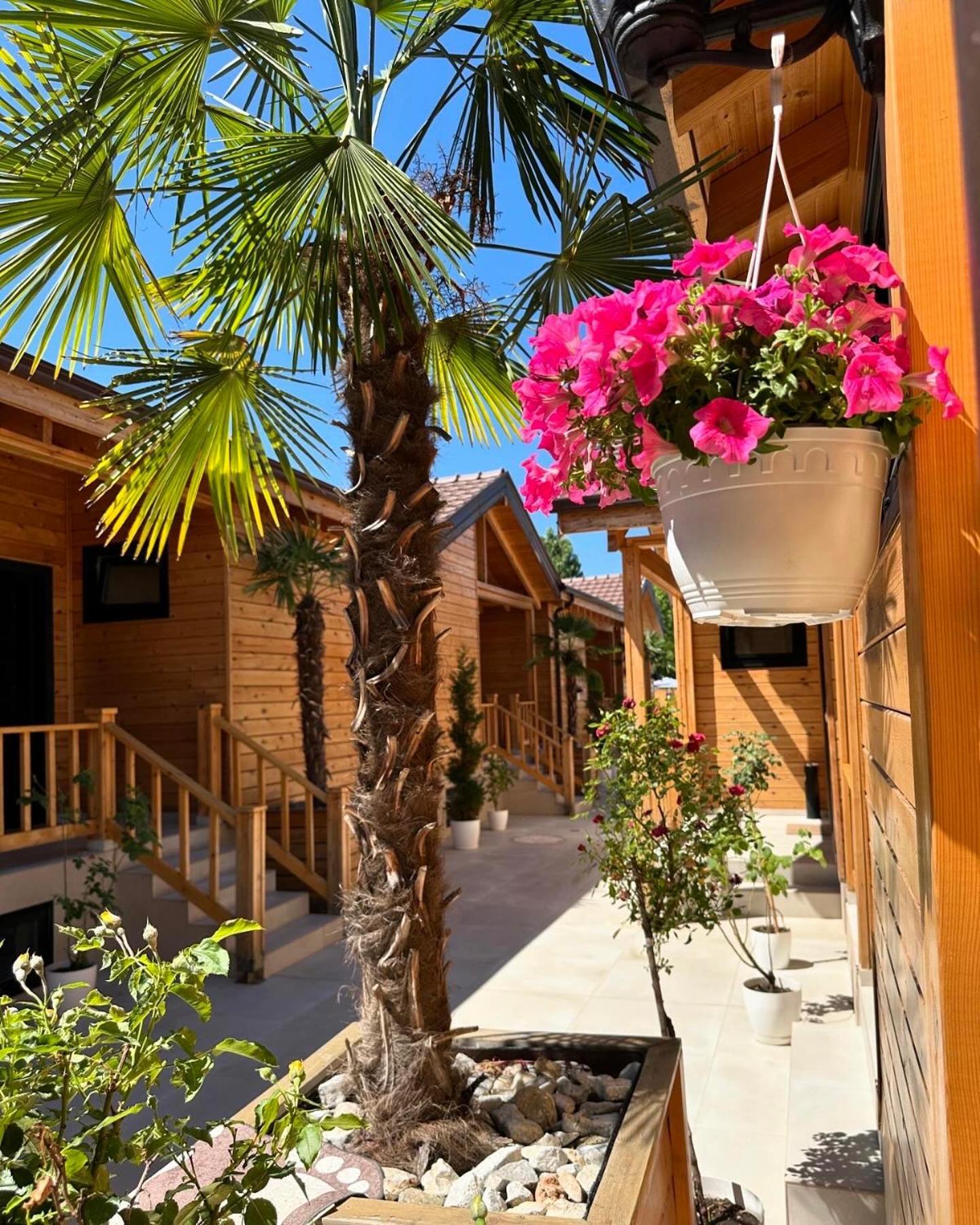 Hotel Bujtina Siar à Pogradec Extérieur photo